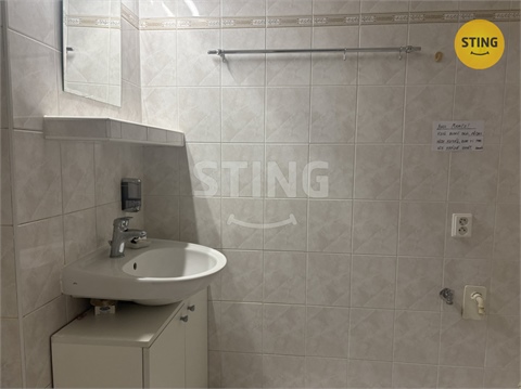 Pronájem bytu 2+1, 54 m² 8