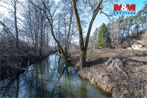 Prodej louky, 4 982 m² - 4