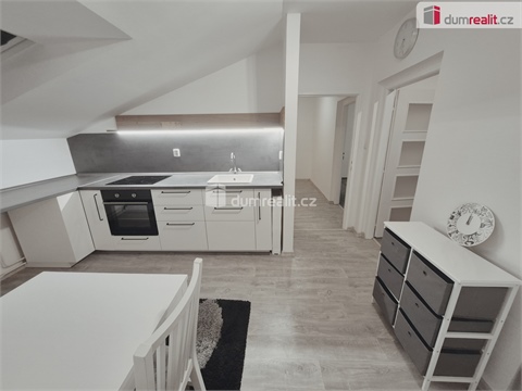 Pronájem bytu 2+1, 59 m² 8