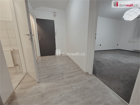 Pronájem bytu 2+1, 59 m² - 6