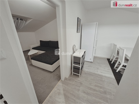 Pronájem bytu 2+1, 59 m² 10