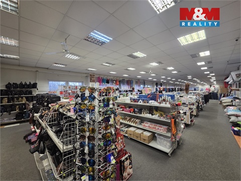 Pronájem obchodních prostor, 547 m² - 10