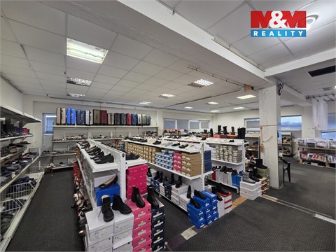 Pronájem obchodních prostor, 547 m² 6