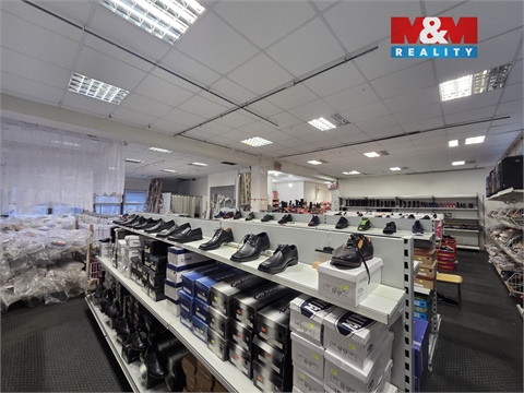 Pronájem obchodních prostor, 547 m² - 4