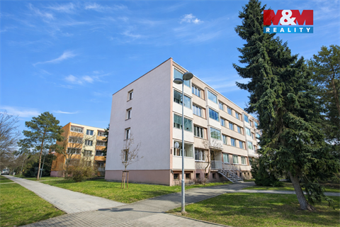 Pronájem bytu 3+1, 80 m² 18