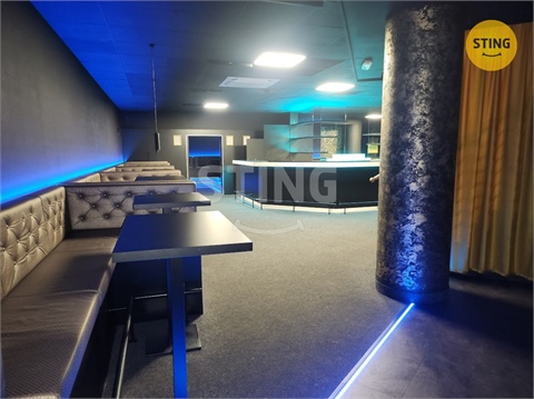 Pronájem komerčního objektu, 210 m² - 8