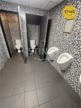 Pronájem komerčního objektu, 210 m² - 20