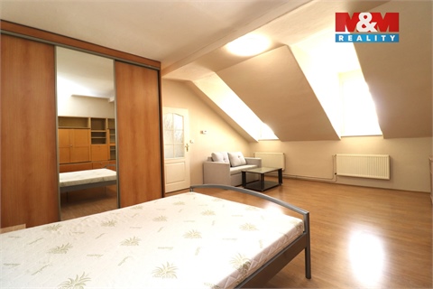 Pronájem bytu 1+1, 46 m² - 2