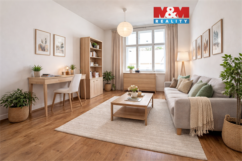 Pronájem bytu 1+1, 46 m² 0