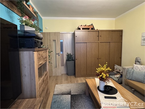 Prodej bytu 3+1, 72 m² 8