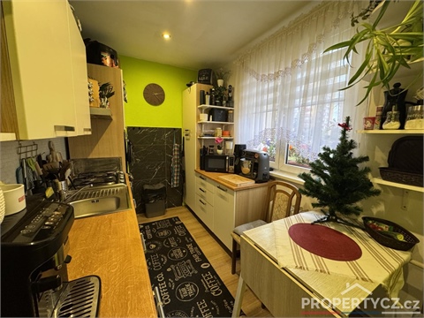 Prodej bytu 3+1, 72 m² 18