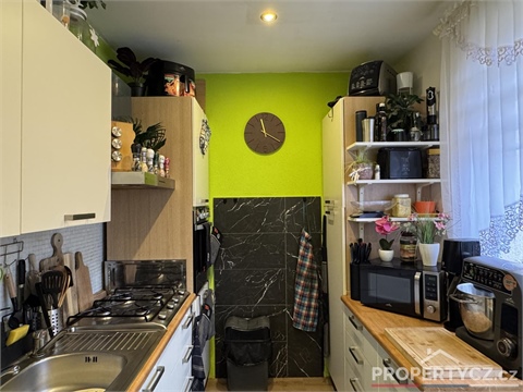 Prodej bytu 3+1, 72 m² 14