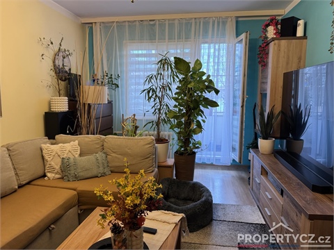 Prodej bytu 3+1, 72 m² 12