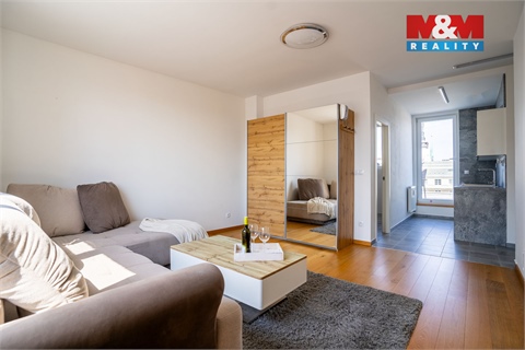 Pronájem bytu 1kk, 33 m² 4