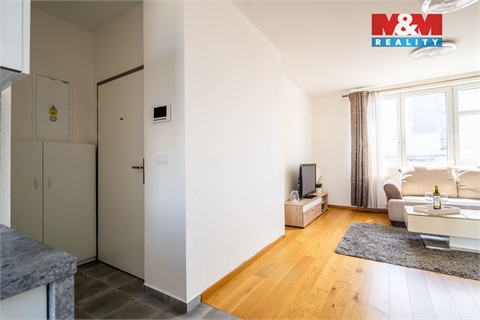 Pronájem bytu 1kk, 33 m² 8