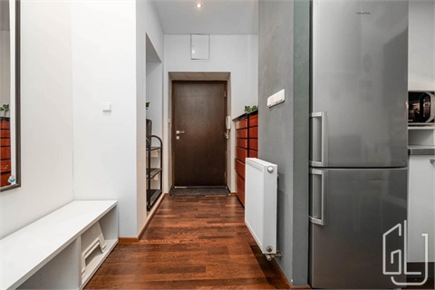 Pronájem bytu 1+1, 45 m² - 0