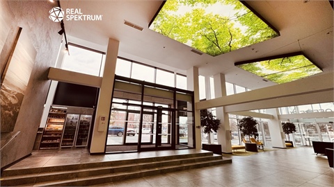 Pronájem kanceláře, 296 m² - 4