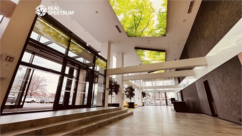 Pronájem kanceláře, 296 m² 2