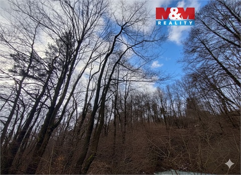 Prodej lesu, 87 259 m² 0