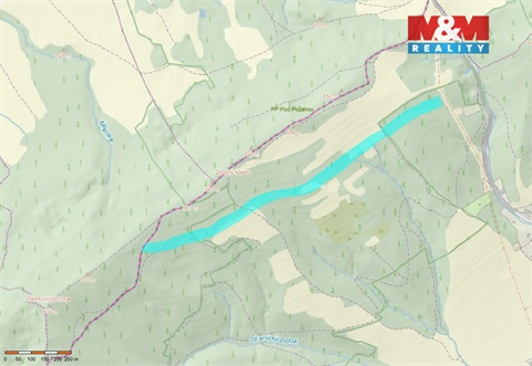 Prodej lesu, 87 259 m² 6