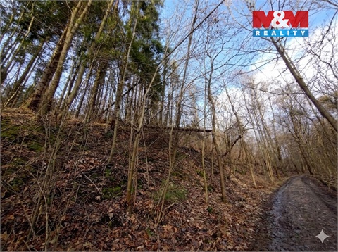 Prodej lesu, 87 259 m² 2