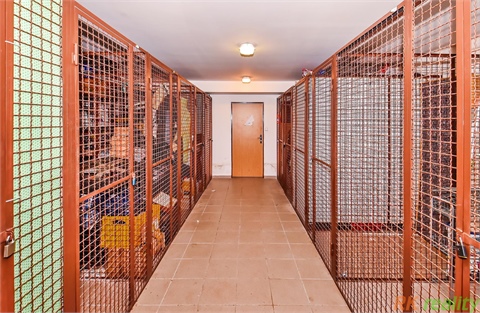 Pronájem bytu 3kk, 63 m² 8