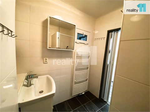 Pronájem bytu 2+1, 46 m² - 14