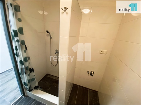 Pronájem bytu 2+1, 46 m² 14