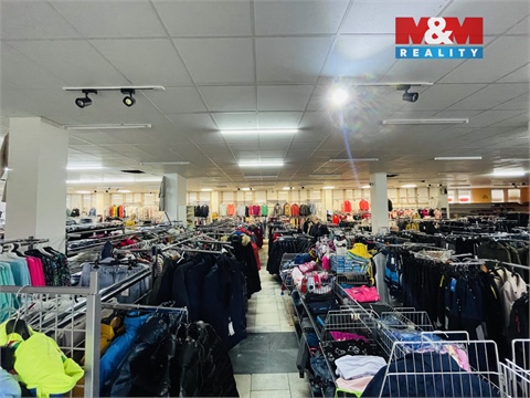 Pronájem obchodních prostor, 1 000 m² 6