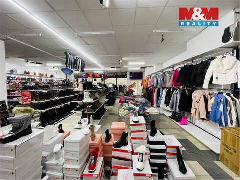 Pronájem obchodních prostor, 1 000 m² - 4