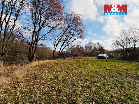 Prodej zemědělské půdy, 5 000 m² 4