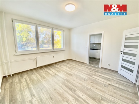 Pronájem bytu 2+1, 45 m² - 2