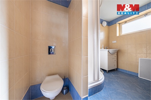 Prodej rodinného domu, 300 m² 8