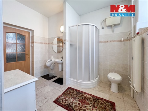 Prodej rodinného domu, 540 m² - 10