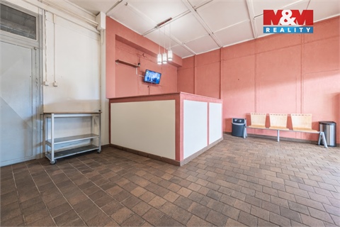 Pronájem obchodních prostor, 223 m² - 8