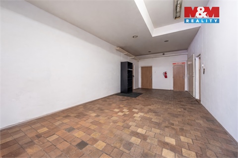 Pronájem obchodních prostor, 223 m² - 10
