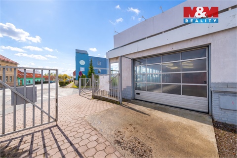 Pronájem obchodních prostor, 223 m² 6