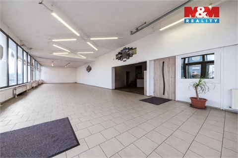 Pronájem obchodních prostor, 223 m² - 6