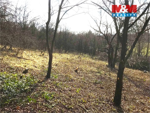 Prodej zahrady, 394 m² - 0