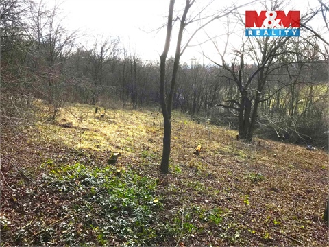 Prodej zahrady, 394 m² 4