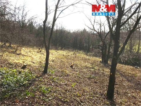 Prodej zahrady, 782 m² 0