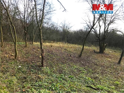 Prodej zahrady, 782 m² - 4