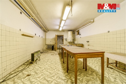 Prodej komerčního objektu, 500 m² 6