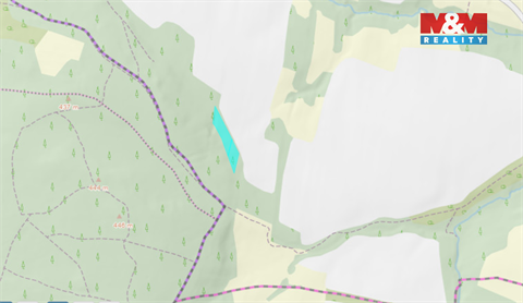 Prodej lesu, 4 458 m² - 4