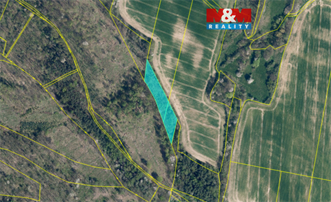 Prodej lesu, 4 458 m² 0