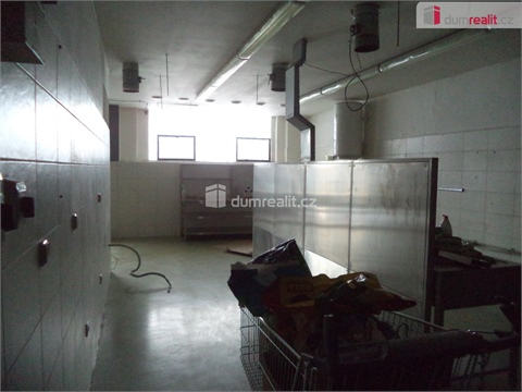 Pronájem obchodních prostor, 175 m² 8