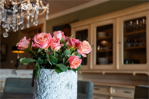 Prodej rodinného domu, 245 m² 16