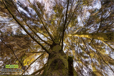 Prodej rodinného domu, 178 m² - 18