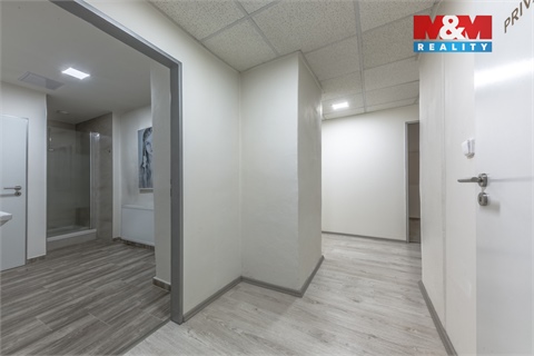 Pronájem obchodních prostor, 100 m² 10