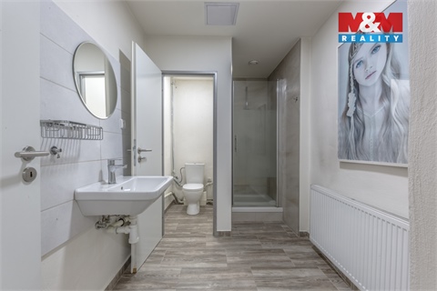 Pronájem obchodních prostor, 100 m² - 10